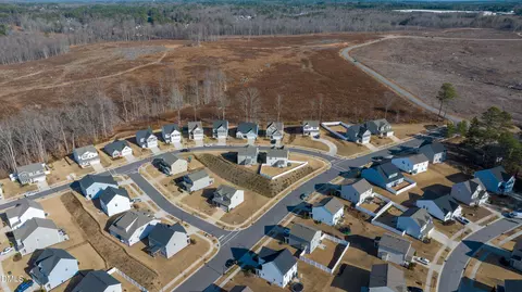 View/Area - 1236 Shadow Shade Dr, Wake Forest, NC 27587 photo 3 of 3