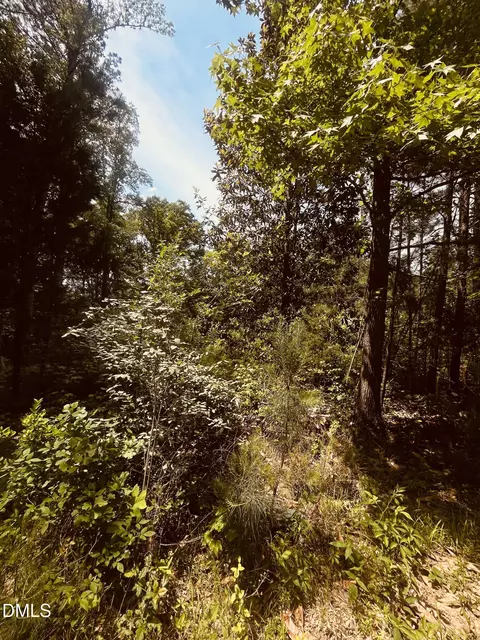 9224 Eisenhower Dr, Apex, NC 27539 photo 7