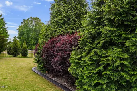 Exterior - 221 Misty Moonlight Dr, Willow Spring, NC 27592 photo 13 of 17
