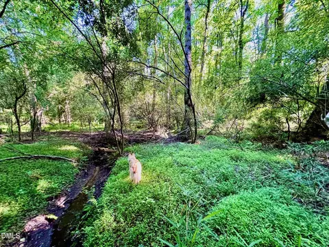 0 Eli Olive, Smithfield, NC 27577 photo 8