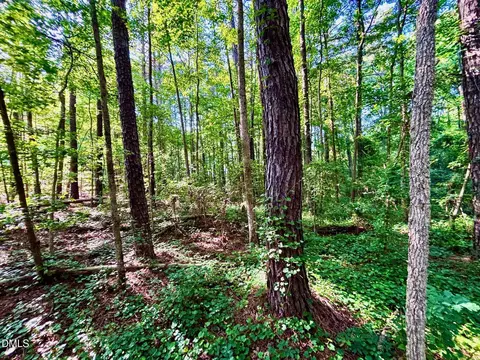 0 Eli Olive, Smithfield, NC 27577 photo 9