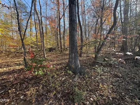 531 Pointe Mayo Dr, Roxboro, NC 27574 photo 3