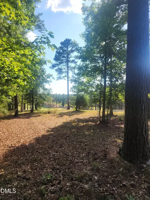 65 High Ridge Ln, Pittsboro, NC 27312