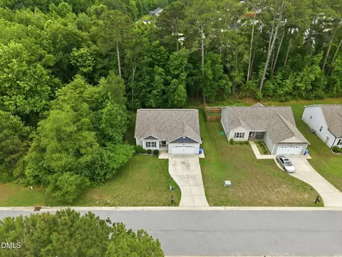 View/Area - 258 Whetstone Dr, Angier, NC 27501 photo 4 of 7