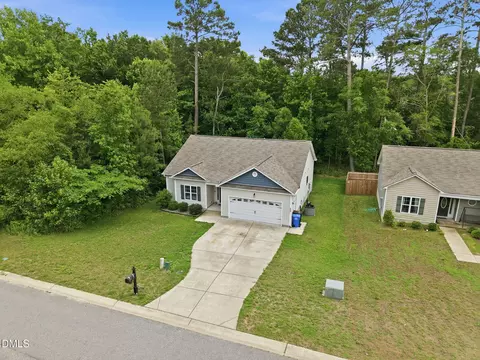 View/Area - 258 Whetstone Dr, Angier, NC 27501 photo 6 of 7
