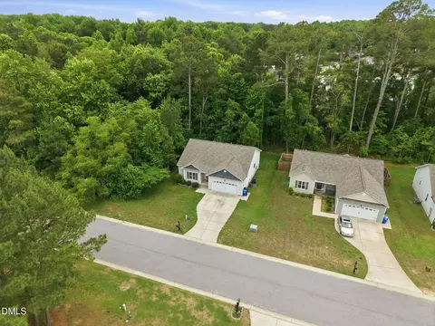 View/Area - 258 Whetstone Dr, Angier, NC 27501 photo 5 of 7