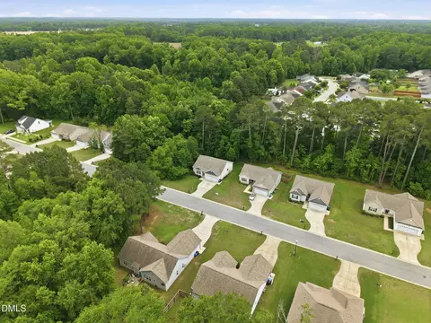 View/Area - 258 Whetstone Dr, Angier, NC 27501 photo 2 of 7