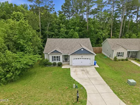 View/Area - 258 Whetstone Dr, Angier, NC 27501 photo 7 of 7