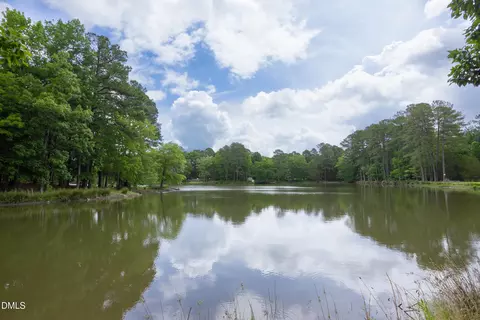 View/Area - 12 Crail Ct, Durham, NC 27712 photo 2 of 6