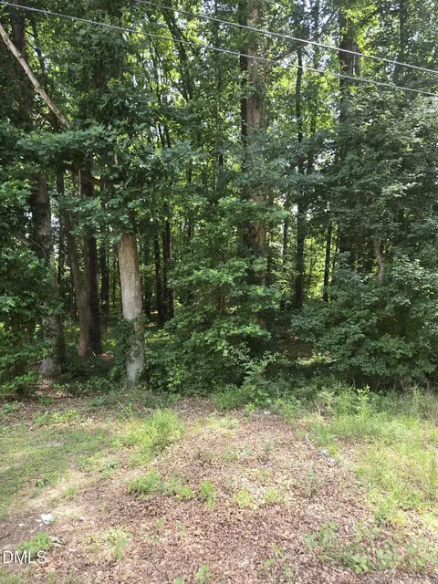 11121 N Carolina 42, Holly Springs, NC 27540
