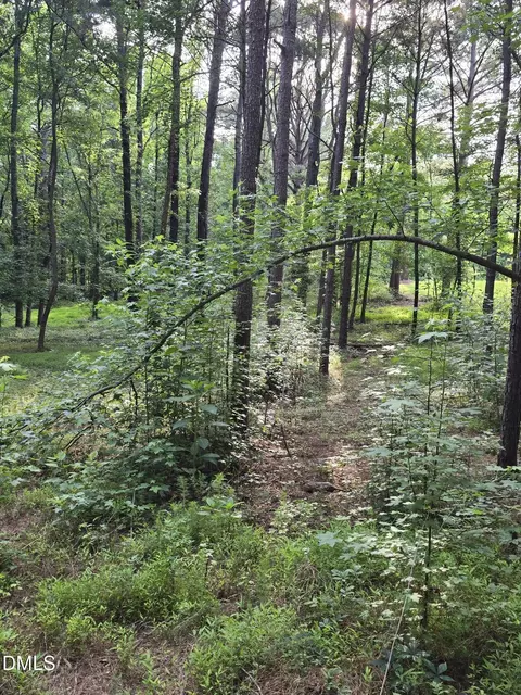 0 Honeycutt Rd, Willow Springs, NC 27592 photo 4