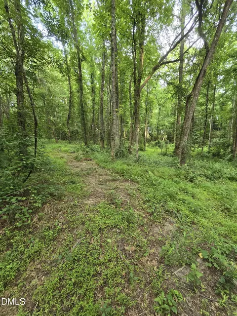 0 Honeycutt Rd, Willow Springs, NC 27592 photo 18