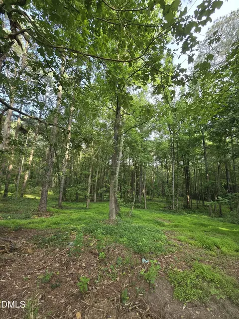 0 Honeycutt Rd, Willow Springs, NC 27592 photo 9