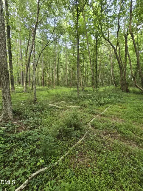 0 Honeycutt Rd, Willow Springs, NC 27592 photo 2