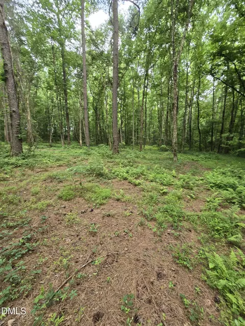 0 Honeycutt Rd, Willow Springs, NC 27592 photo 8