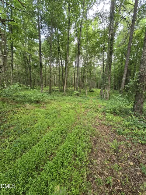 0 Honeycutt Rd, Willow Springs, NC 27592 photo 10