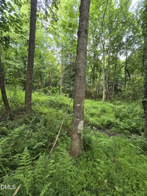 0 Honeycutt Rd, Willow Springs, NC 27592 photo 14
