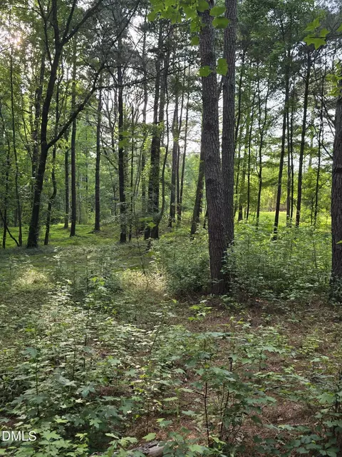 0 Honeycutt Rd, Willow Springs, NC 27592 photo 3
