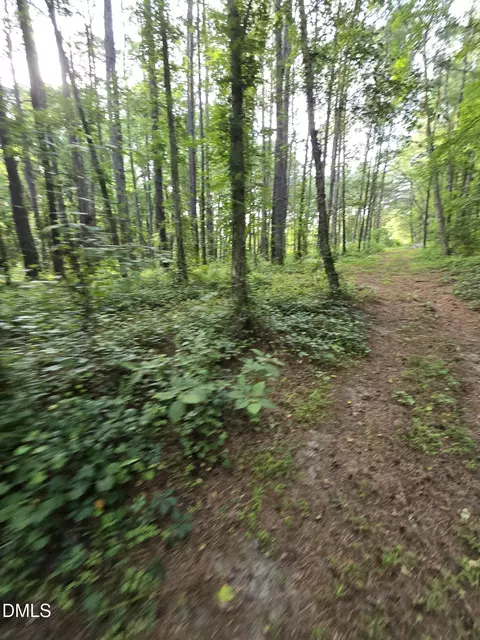0 Honeycutt Rd, Willow Springs, NC 27592 photo 13
