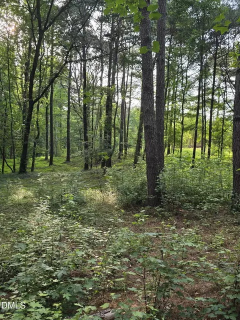 0 Honeycutt Rd, Willow Springs, NC 27592 photo 7