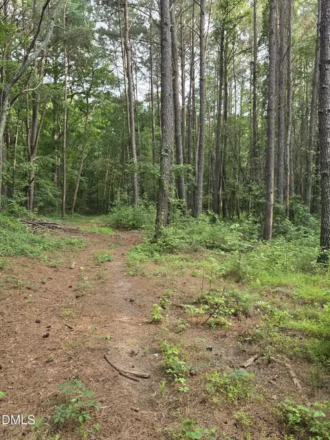 0 Honeycutt Rd, Willow Springs, NC 27592 photo 6