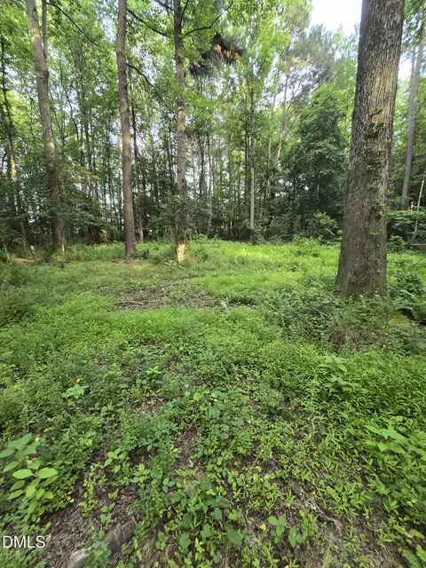 0 Honeycutt Rd, Willow Springs, NC 27592 photo 17