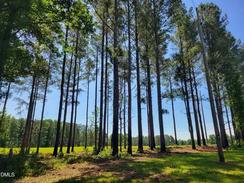 0 Hicks Farm Rd, Staley, NC 27355 photo 26
