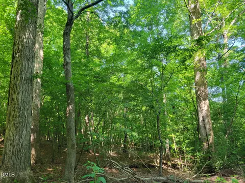 0 Hicks Farm Rd, Staley, NC 27355 photo 10