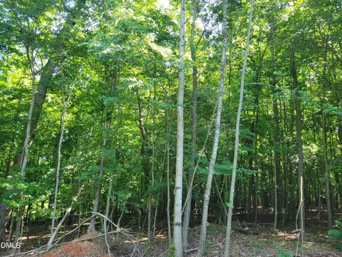 0 Hicks Farm Rd, Staley, NC 27355 photo 8