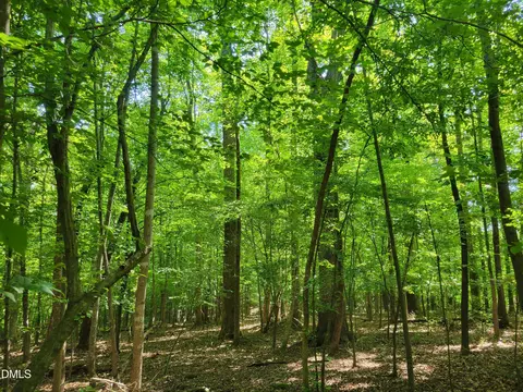 0 Hicks Farm Rd, Staley, NC 27355 photo 14