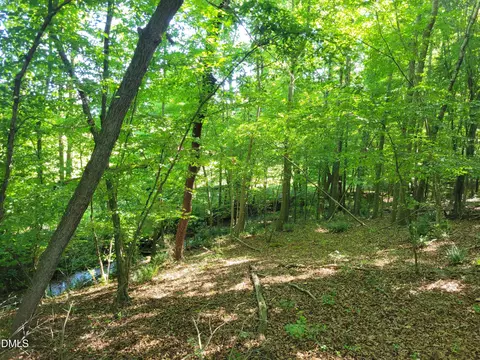0 Hicks Farm Rd, Staley, NC 27355 photo 13