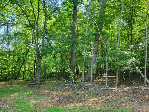 0 Hicks Farm Rd, Staley, NC 27355 photo 9