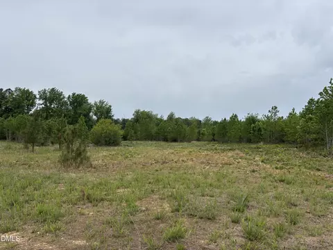 0 Burchette Lot 3 Rd, Manson, NC 27553 photo 8
