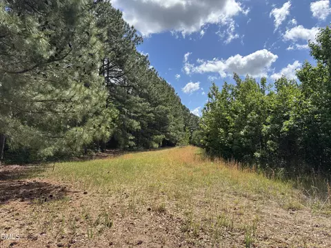 0 Burchette Lot 3 Rd, Manson, NC 27553 photo 24