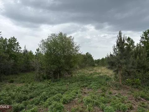0 Burchette Lot 3 Rd, Manson, NC 27553 photo 13
