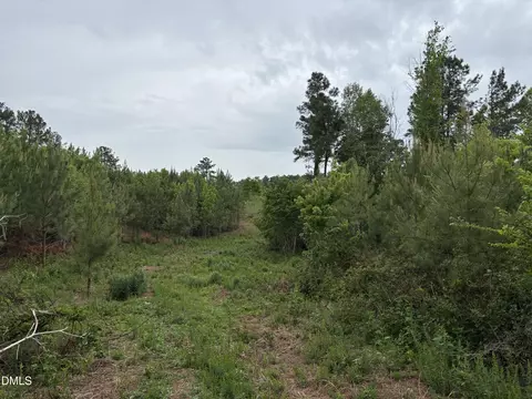 0 Burchette Lot 3 Rd, Manson, NC 27553 photo 14