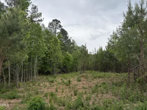0 Burchette Lot 3 Rd, Manson, NC 27553 photo 17