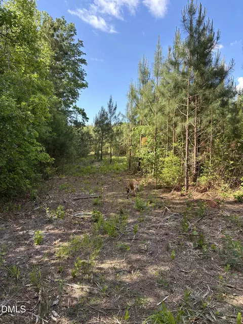 0 Burchette Lot 3 Rd, Manson, NC 27553 photo 18