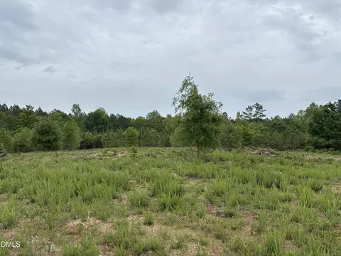 0 Burchette Lot 3 Rd, Manson, NC 27553 photo 4