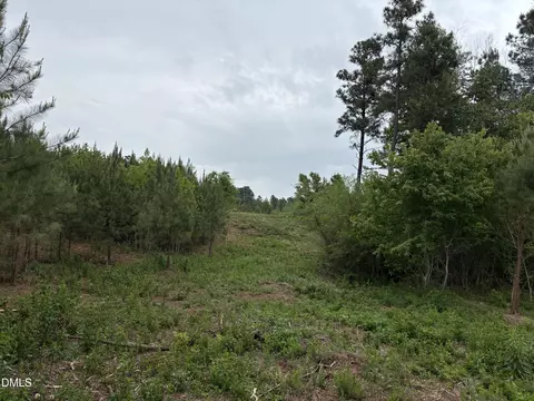 0 Burchette Lot 3 Rd, Manson, NC 27553 photo 16