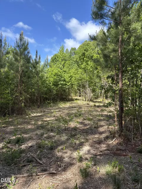 0 Burchette Lot 3 Rd, Manson, NC 27553 photo 19