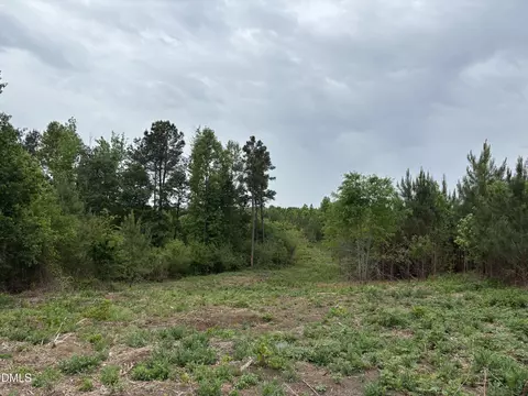 0 Burchette Lot 3 Rd, Manson, NC 27553 photo 5