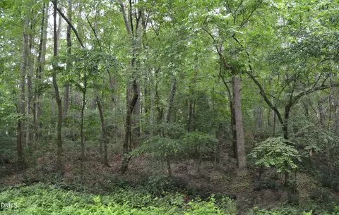00 Tom Wright Rd, Franklinton, NC 27525 photo 5