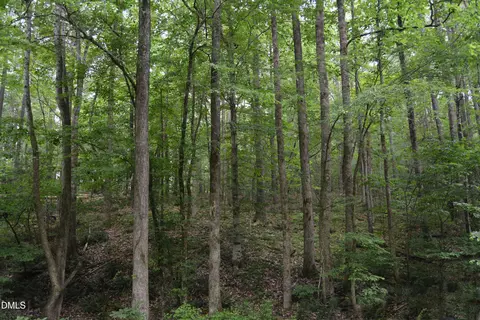 00 Tom Wright Rd, Franklinton, NC 27525 photo 6