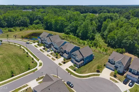 View/Area - 7167 Crested Iris Pl, Durham, NC 27703 photo 4 of 7