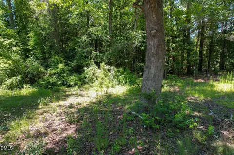 275 Hamer St, Fair Bluff, NC 28439