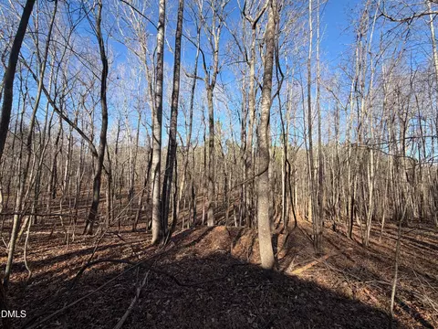 Other - 475 Lewis Winstead Lp Rd, Roxboro, NC 27574 photo 8 of 11