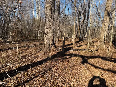 Other - 475 Lewis Winstead Lp Rd, Roxboro, NC 27574 photo 4 of 11