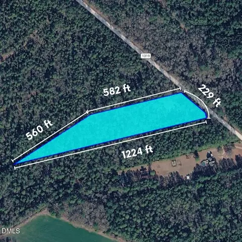 0 Pelham Rd, Watha, NC 28478