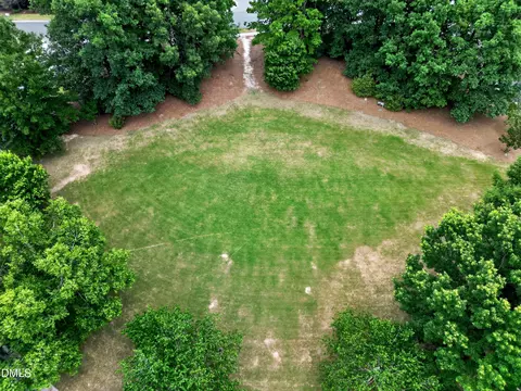 View/Area - 1402 Willow Leaf Way, Apex, NC 27502 photo 10 of 10